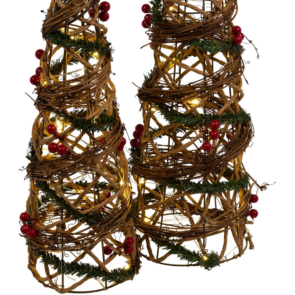 Set of 2 LED Floristry Cones Image 7