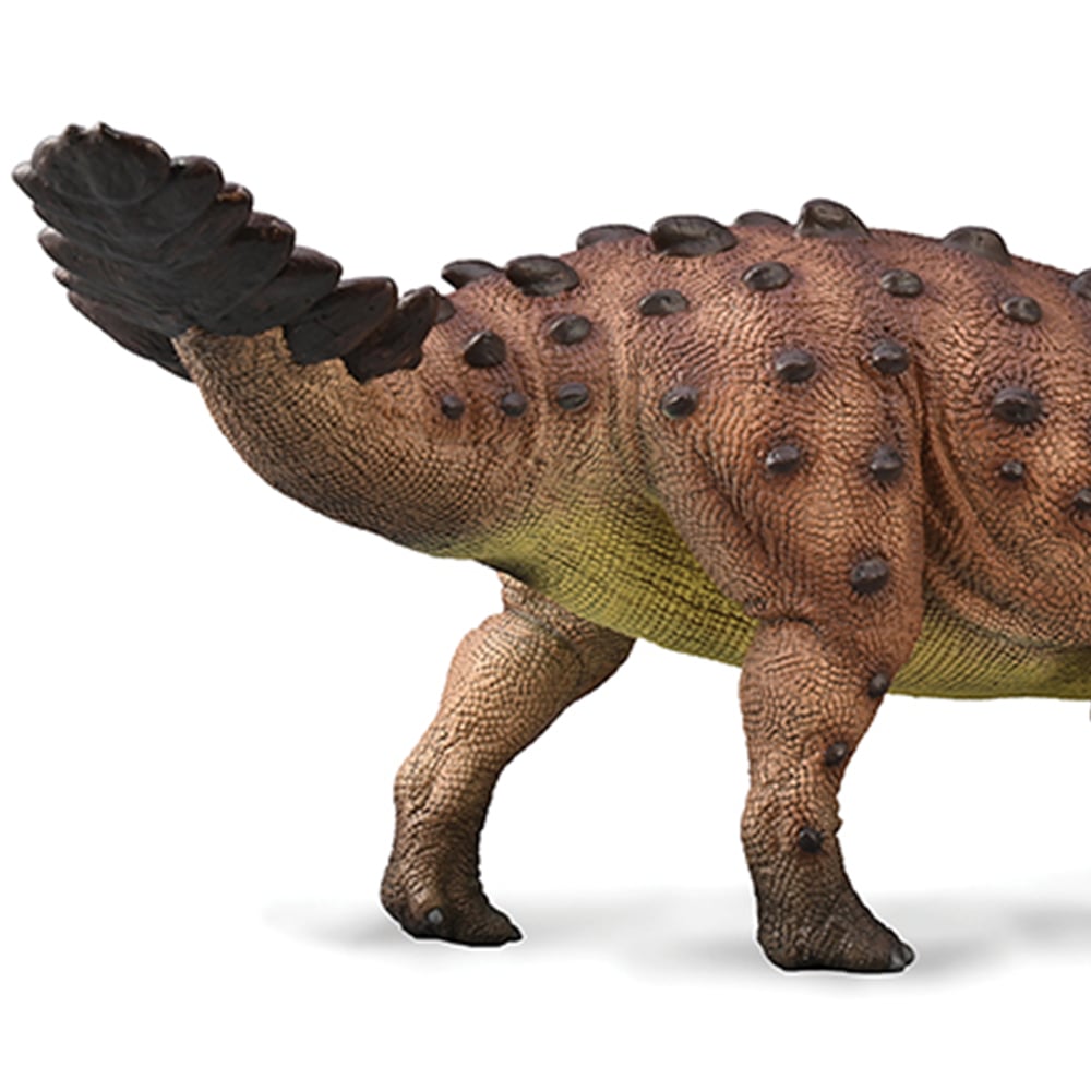 CollectA Stegouros Dinosaur Toy Image 3
