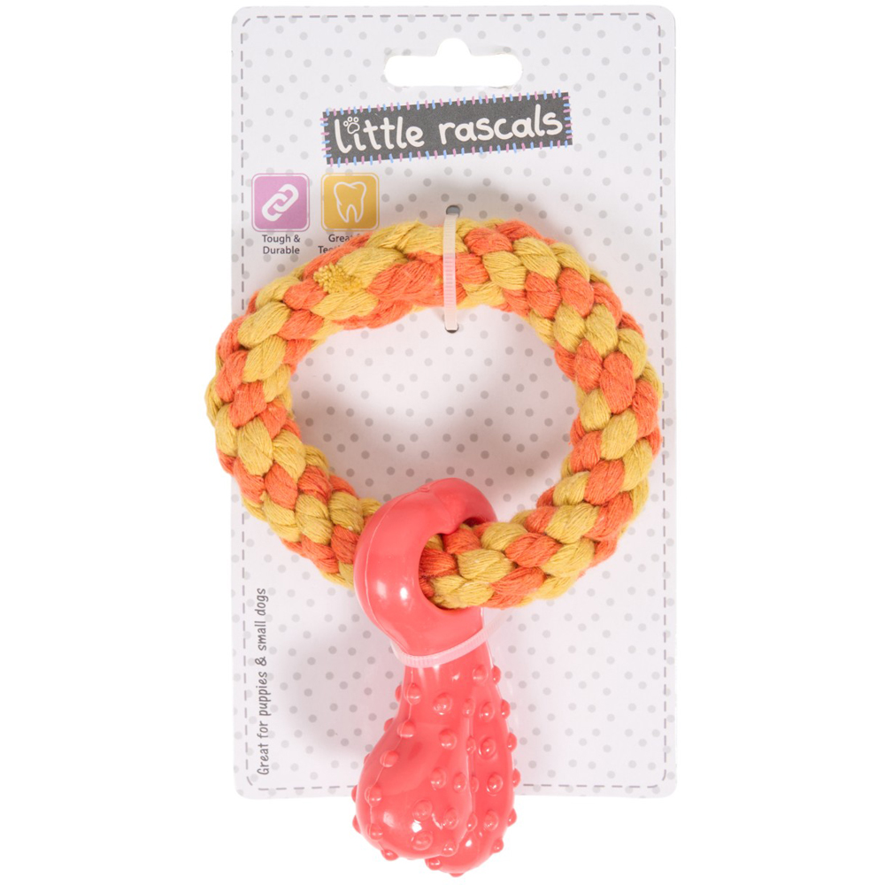Happy Pet Little Rascals Teething Rope Ring Puppy and Dog Toy Image 2