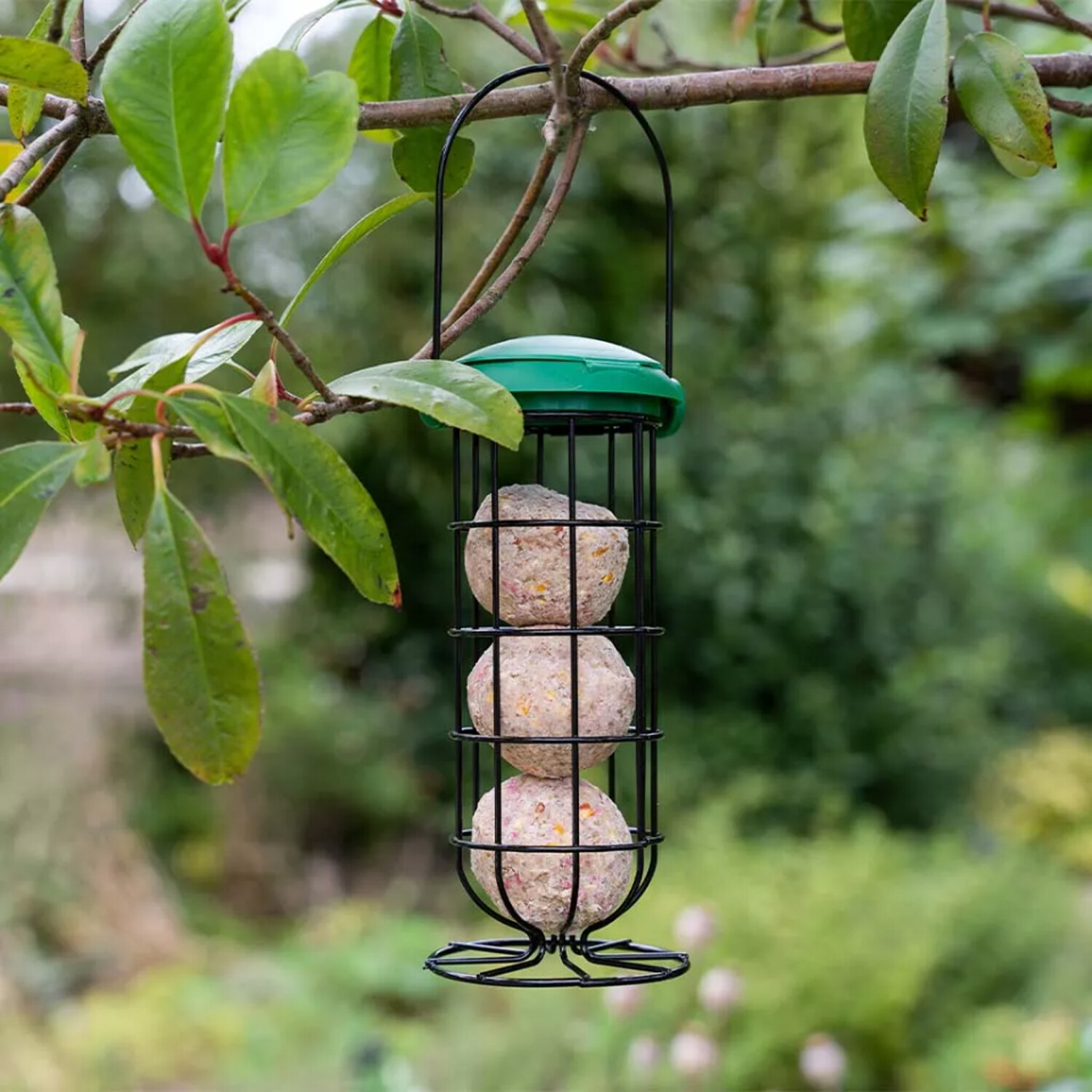Peckish Energy Ball Feeder Image 4
