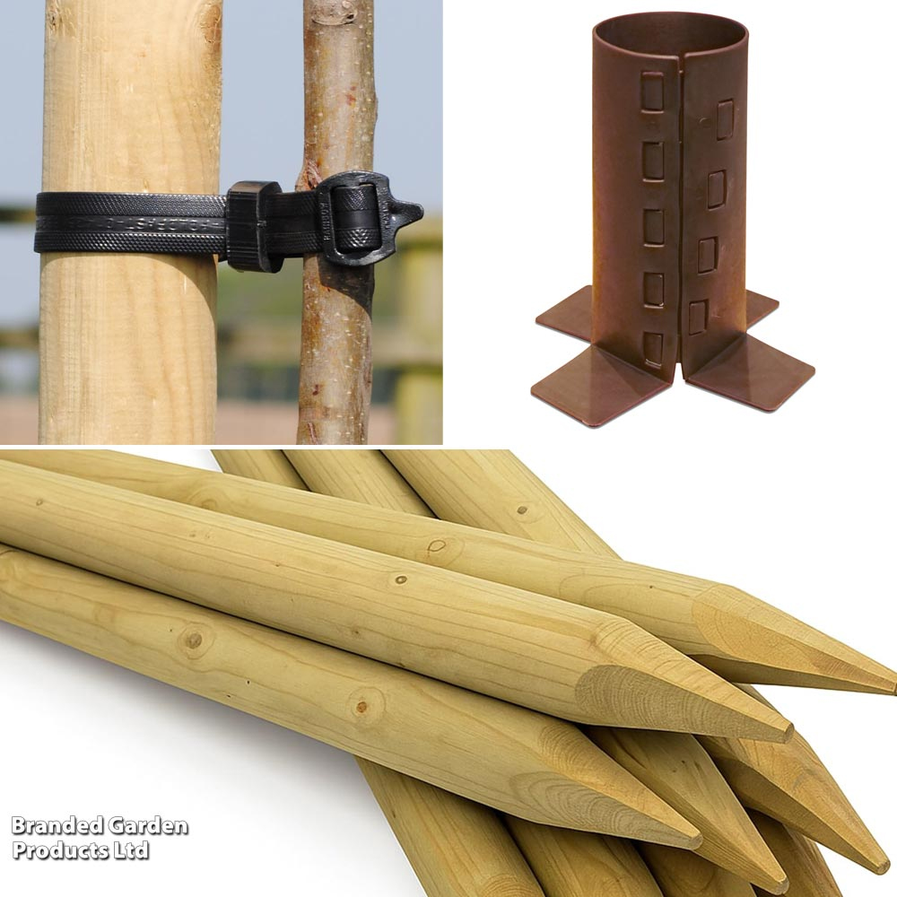 Garden Gear Premium Tree Planting Kit Image 2