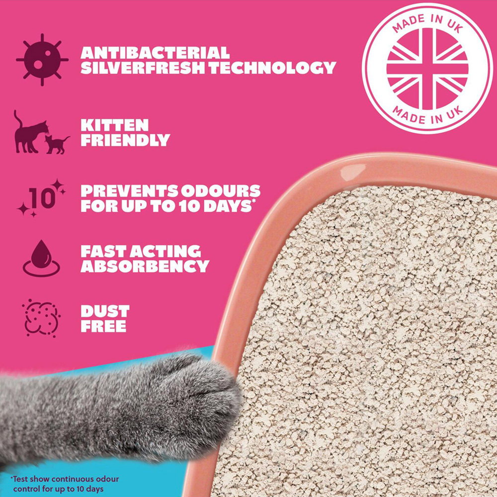 Felight Non Clumping Cat Litter 10L Image 4