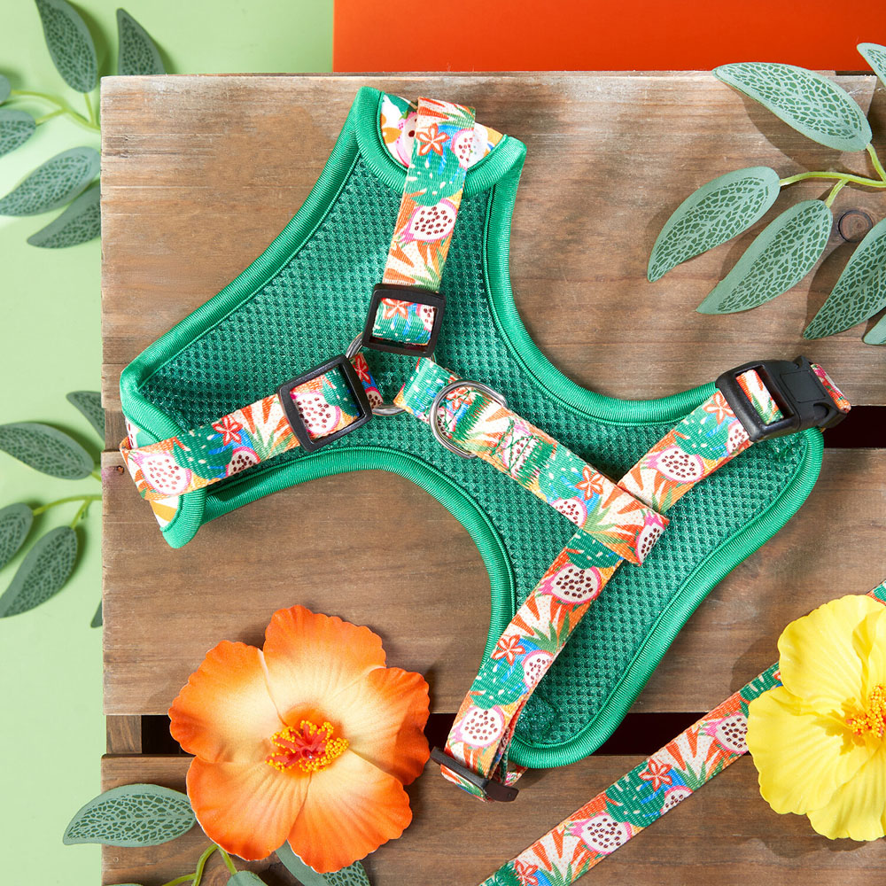 Jungle Fruits Dog Harness Green Image 2