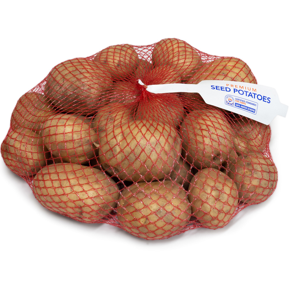 wilko Pentland Javelin Seed Potato Tubers Early 2.5kg Image 2