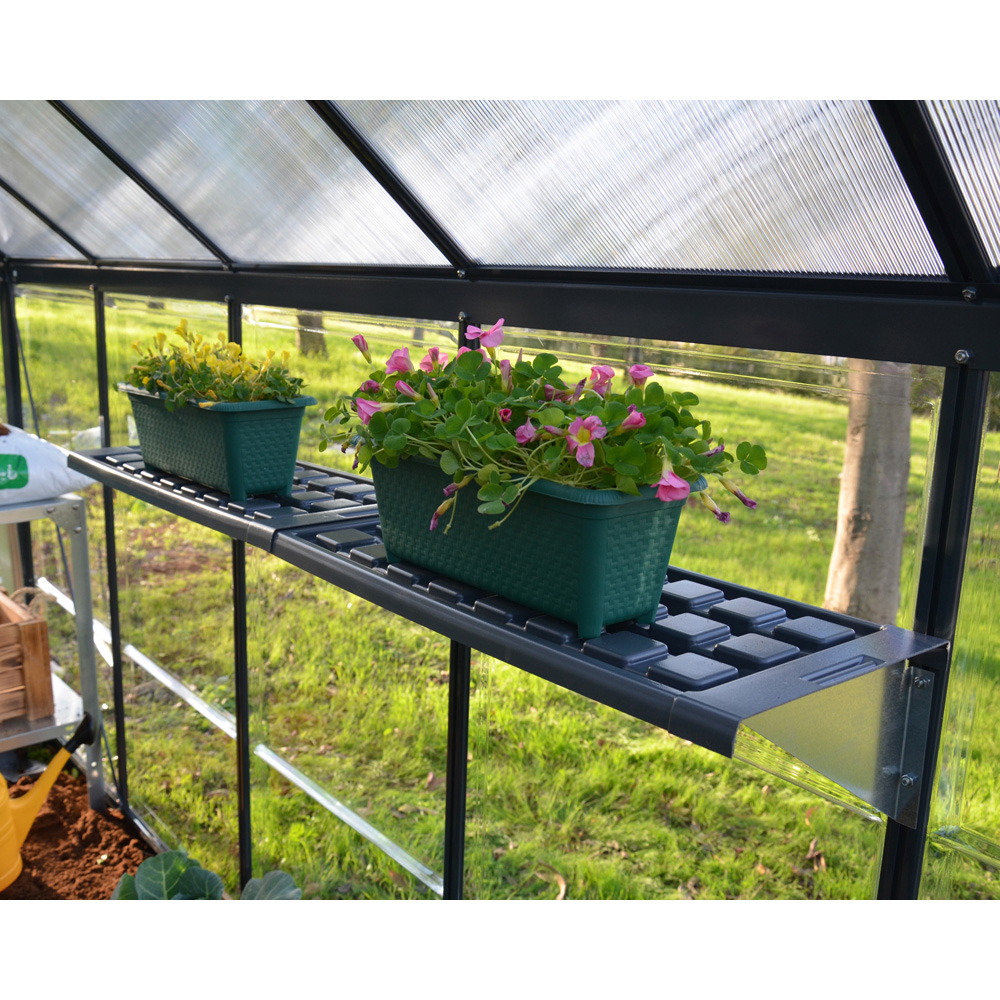 Palram Canopia 64cm Shelf Kit 2 Pack Image 2