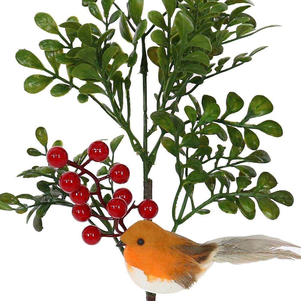 Robin Pick with Berries Image 4