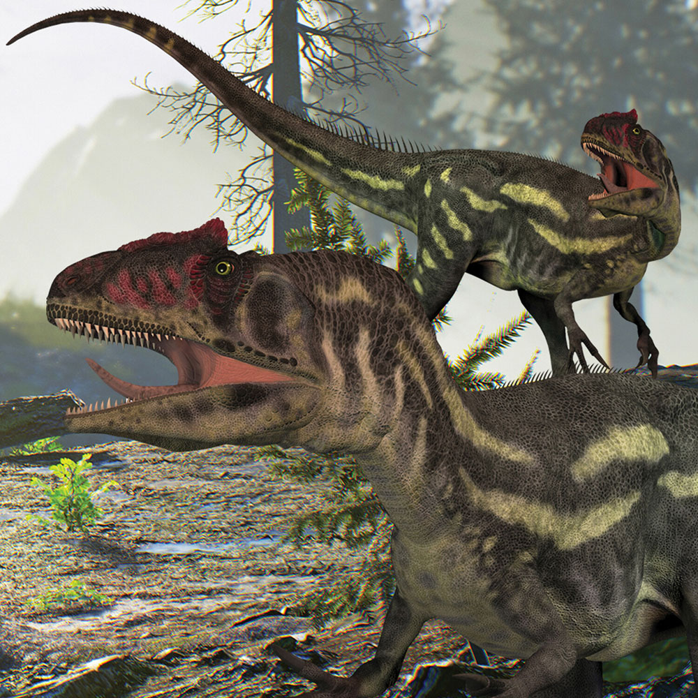 Pack of 2 Dinosaur 3D Puzzles Image 3