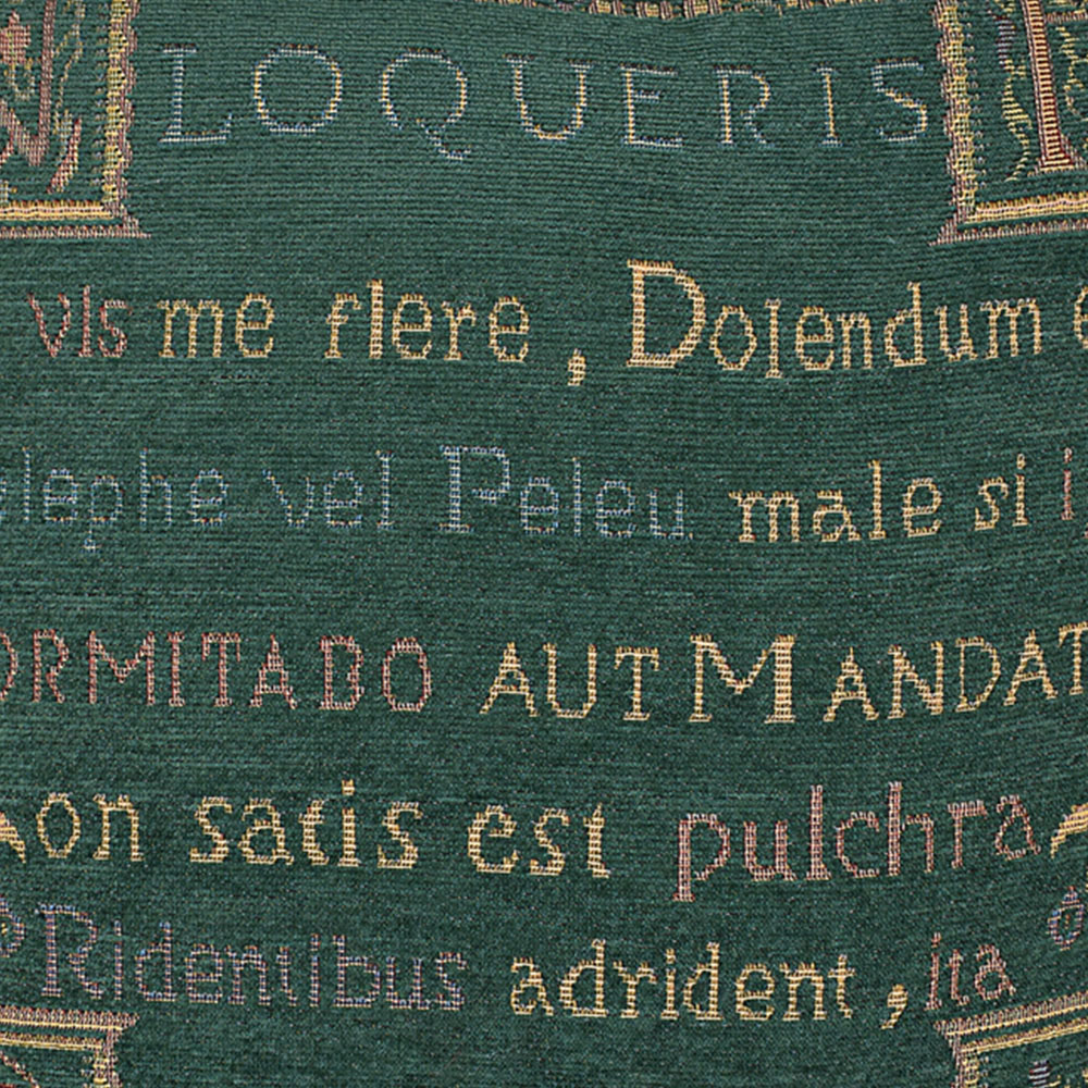 Velosso Loquerius Green Filled Cushion 43 x 43cm 2 Pack Image 2
