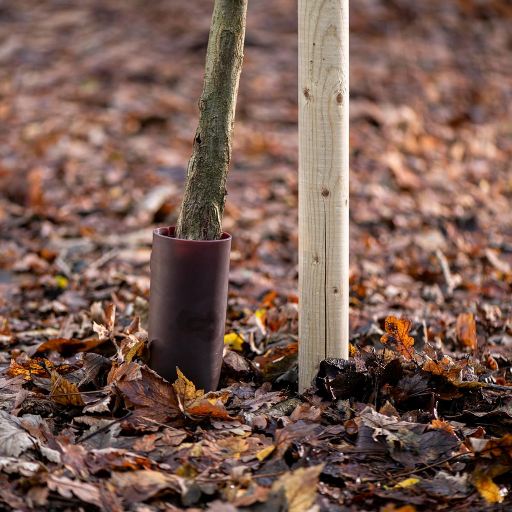 Garden Gear Premium Strimmer Protection Tree Guard 335 x 200 x 95mm 2 Pack Image 2