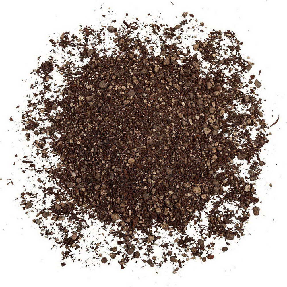 Lechuza Terrapon Peat Free Soil 12L 3 Pack Image 3