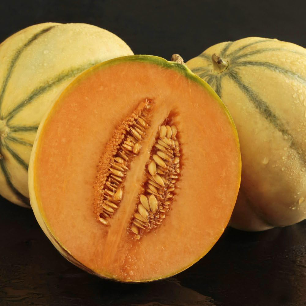Thompson & Morgan Melon Alvaro F1 Hybrid Seeds Image 1