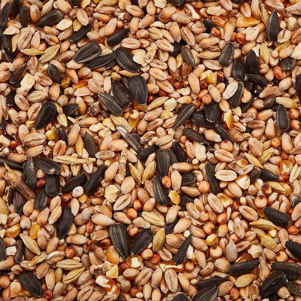 Happy Beak All Season All Year Mix Bird Food 14kg Image 5
