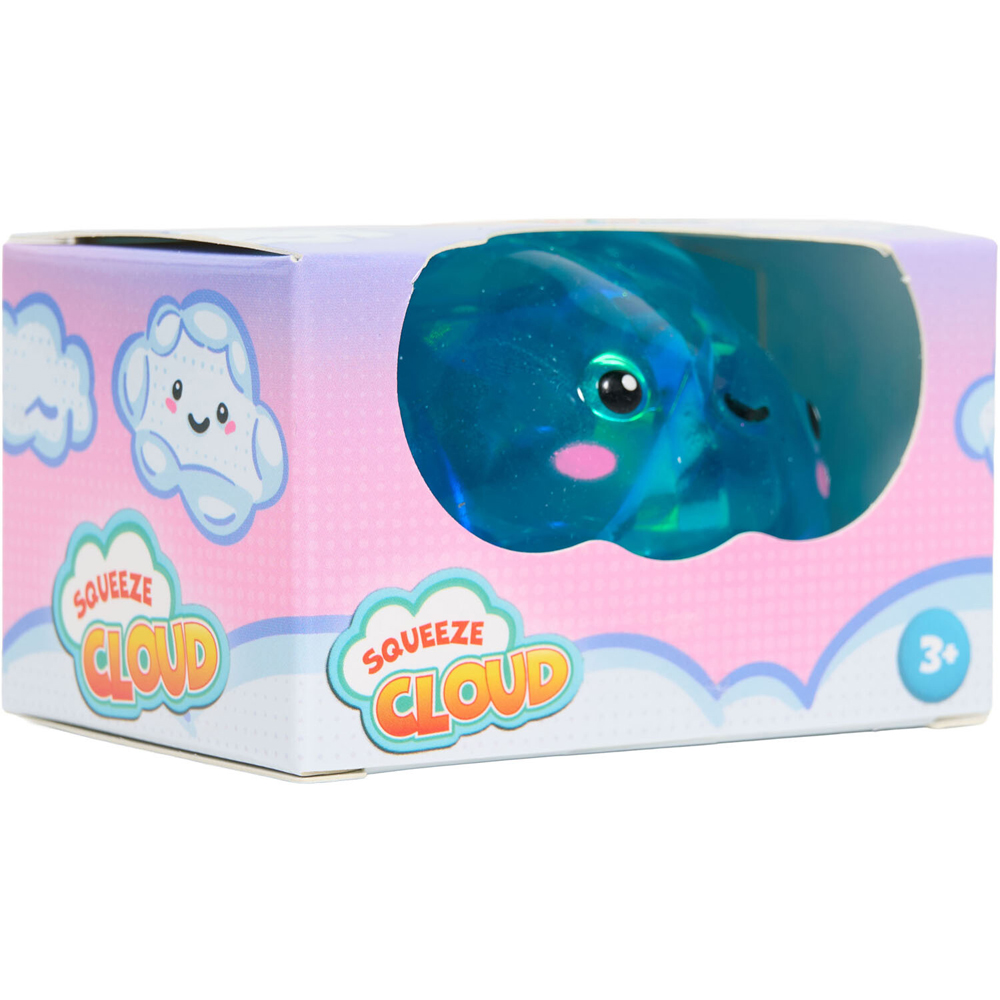 Squeeze Cloud Image 5