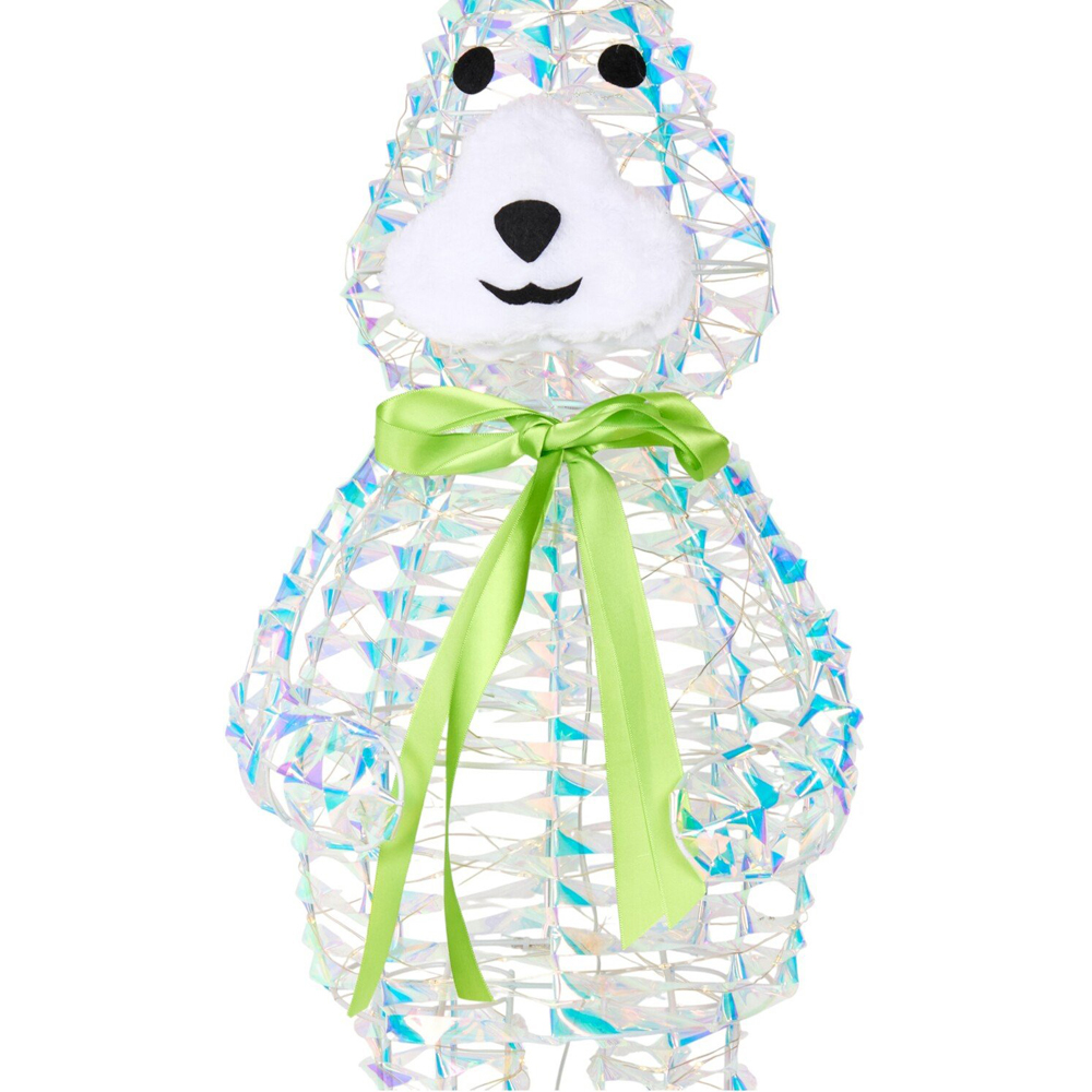 200 LED Iridescent Rabbit Image 2