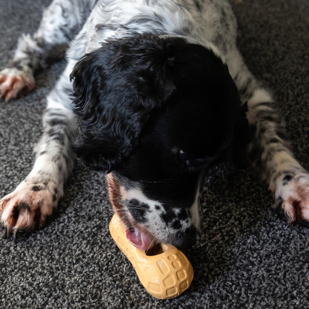 Nylabone Peanut Spread Enrichment Dog Toy Brown Image 2