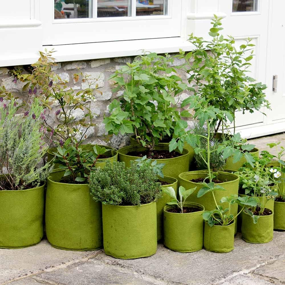 Garden Gear Vigoroot Pot 10L 3 Pack Image 3