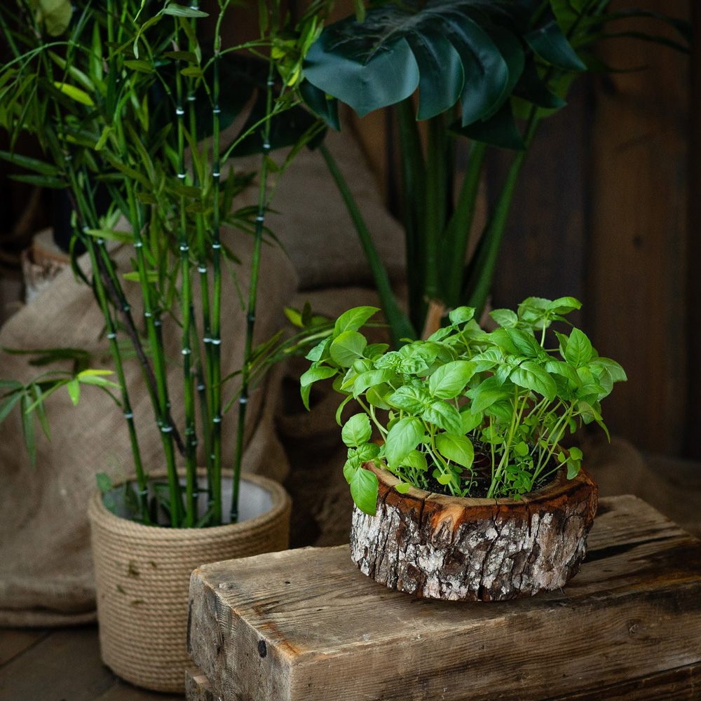 Eco Grill Organic Pod Round Planter Image 5