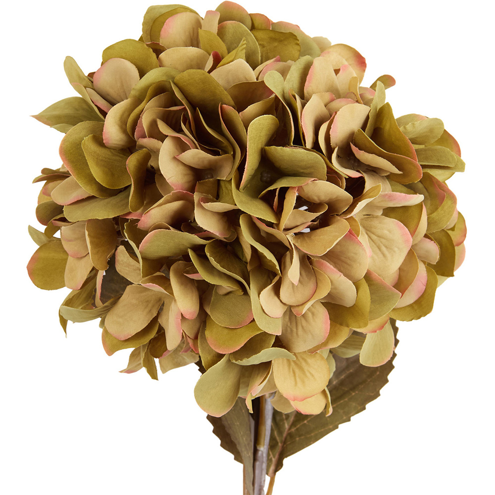 Autumn Hydrangea Stem Image 6