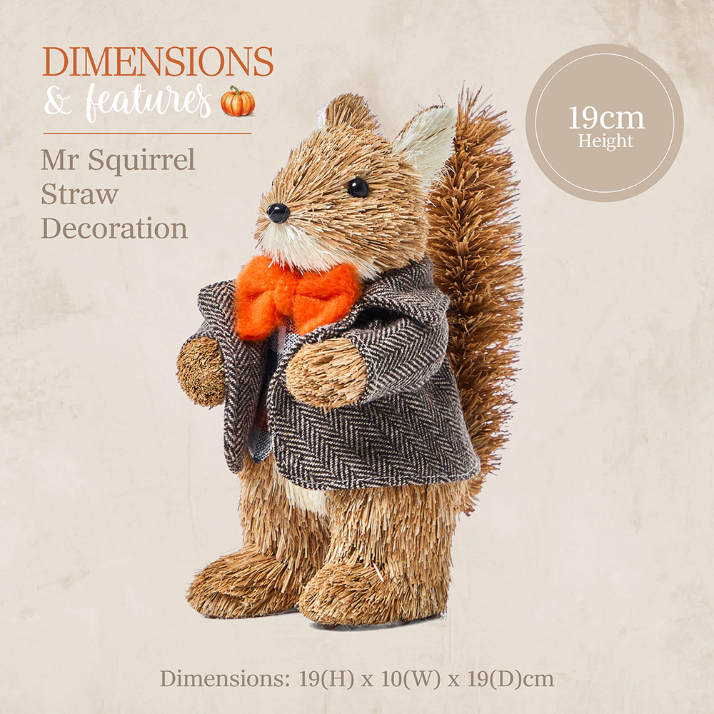 Benross Anika Mr Squirrel Straw Decor 19cm Image 7