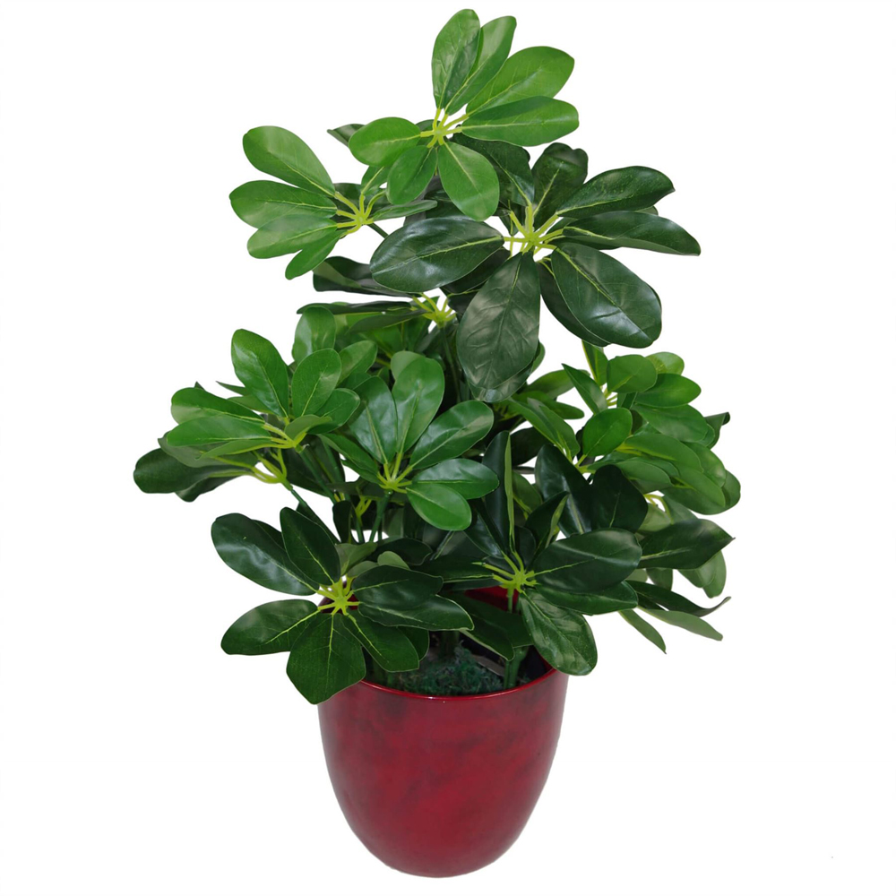 Botanik Dark Arboricola Plant Umbrella Artificial Tree 55cm Image 3