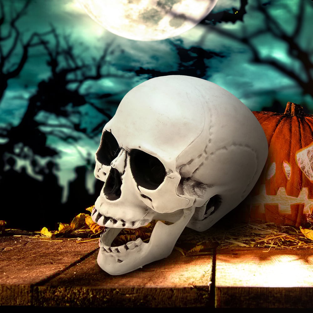 Living and Home Halloween Realistic Tabletop Skull 22cm Image 7