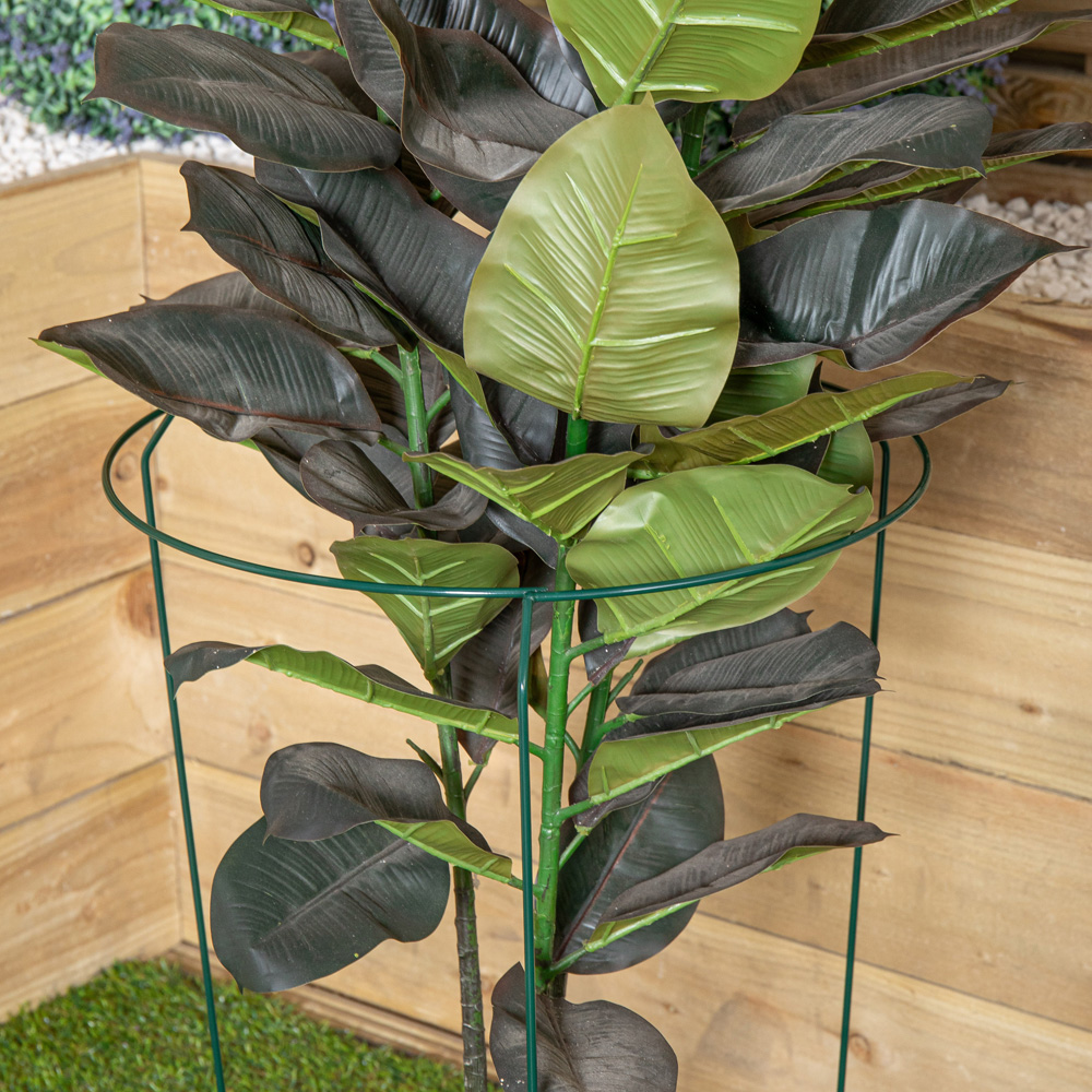 Samuel Alexander Metal Herbaceous Plant Support Ring 40 x 60cm Image 5