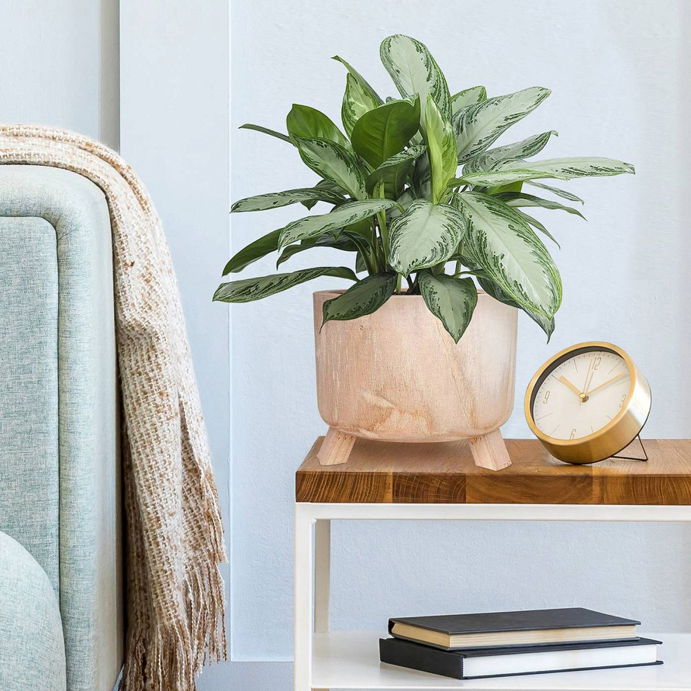 LECHUZA Hortico Grower Wooden Round Indoor Plant Pot 21 x 28cm 2 Pack Image 2