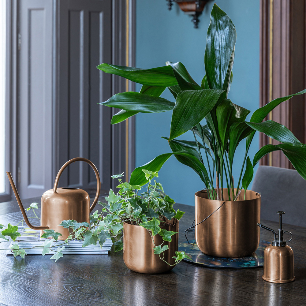 Ivyline Kew Matt Copper Plant Mister with Giftbox 14cm Image 2