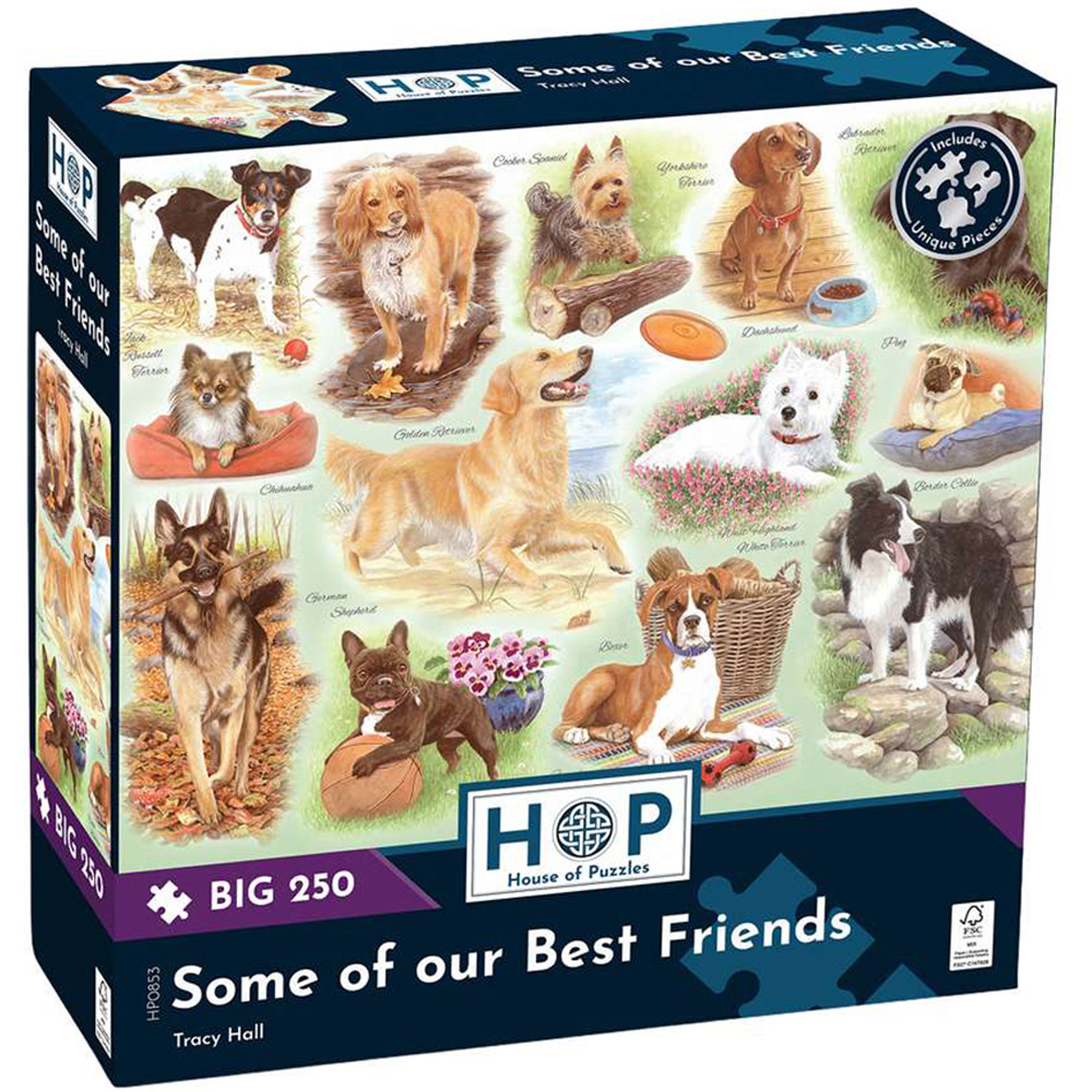 The House of Puzzles Some of our Best Friends 250 Piece Big Jigsaw Puzzle Image 2