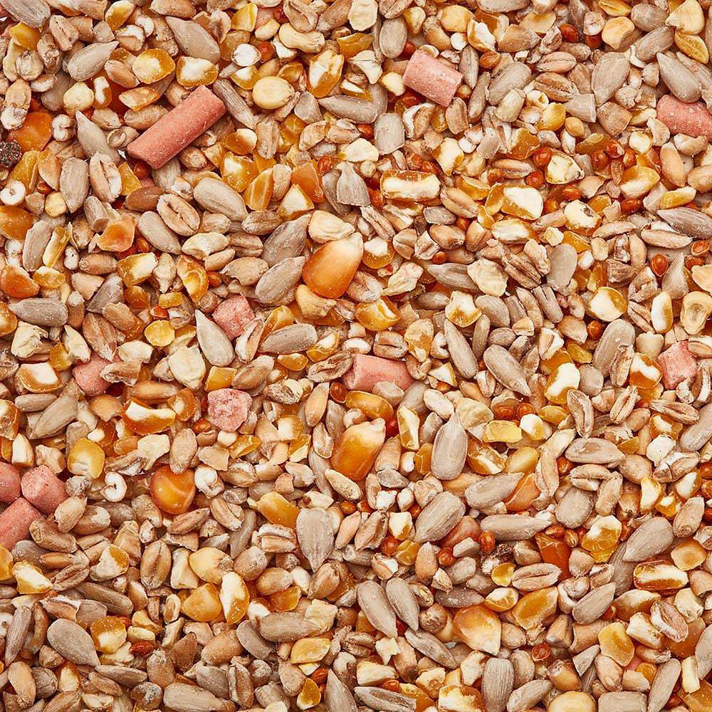 Happy Beak No Husk No Grow No Waste Wild Bird Seed Mix 12.75kg Image 4