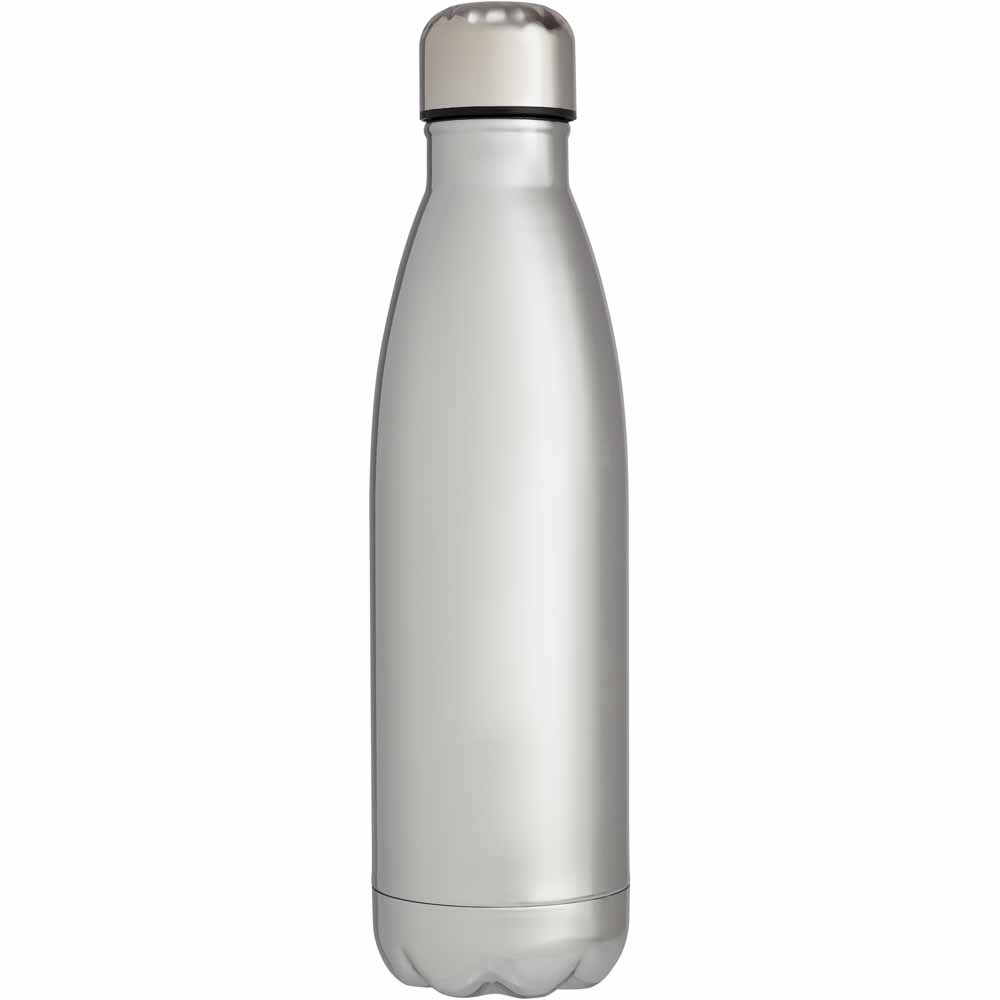 Wilko Sliver Metallic Double Wall Bottle Image