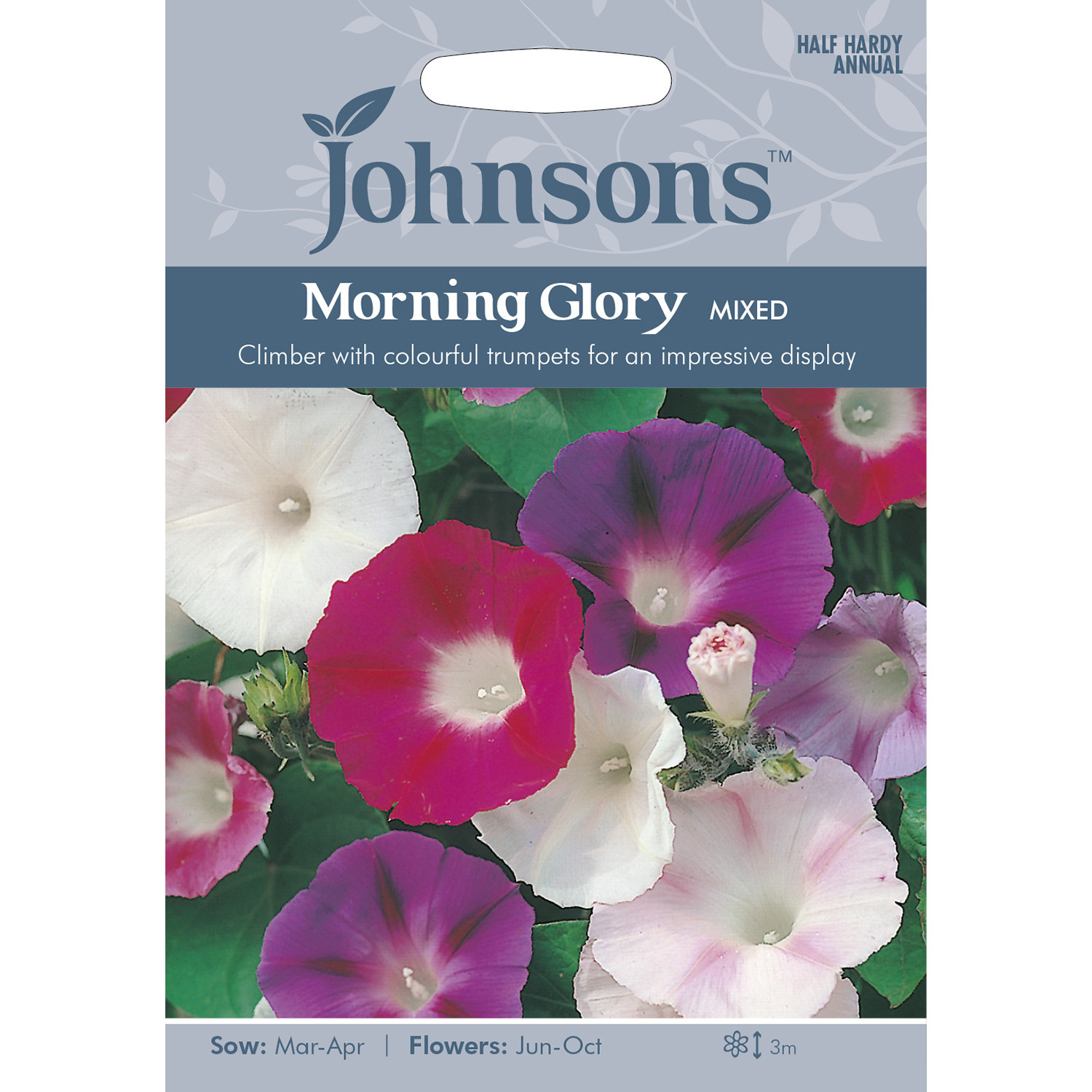 Johnsons Morning Glory Mixed Flower Seeds Image 2