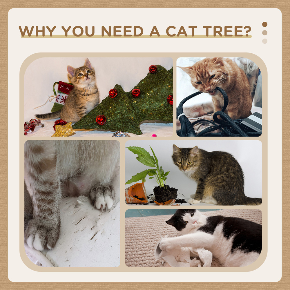 PawHut Yellow Large Cat Tree with Scratching Posts and Toy Ball 130cm Image 6