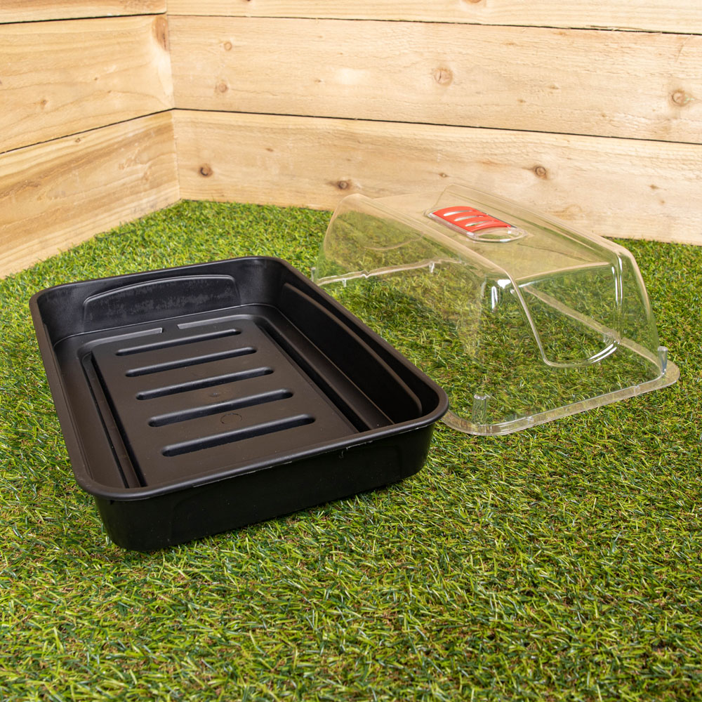 Samuel Alexander Sankey Seed Starter Tray Grostart Midi Propagator Kit Pack of 2 Image 5