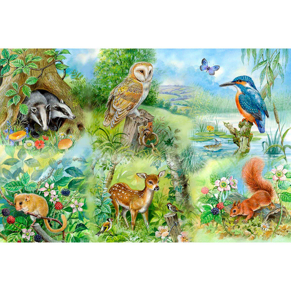 The House of Puzzles Nature Study 250 Piece Big Jigsaw Puzzle Image