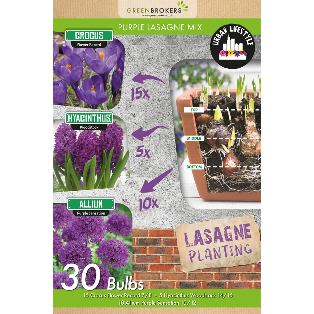 GreenBrokers Purple Lasagne Bee Friendly Mixed Planting Spring Bulb 30 Pack Image 2