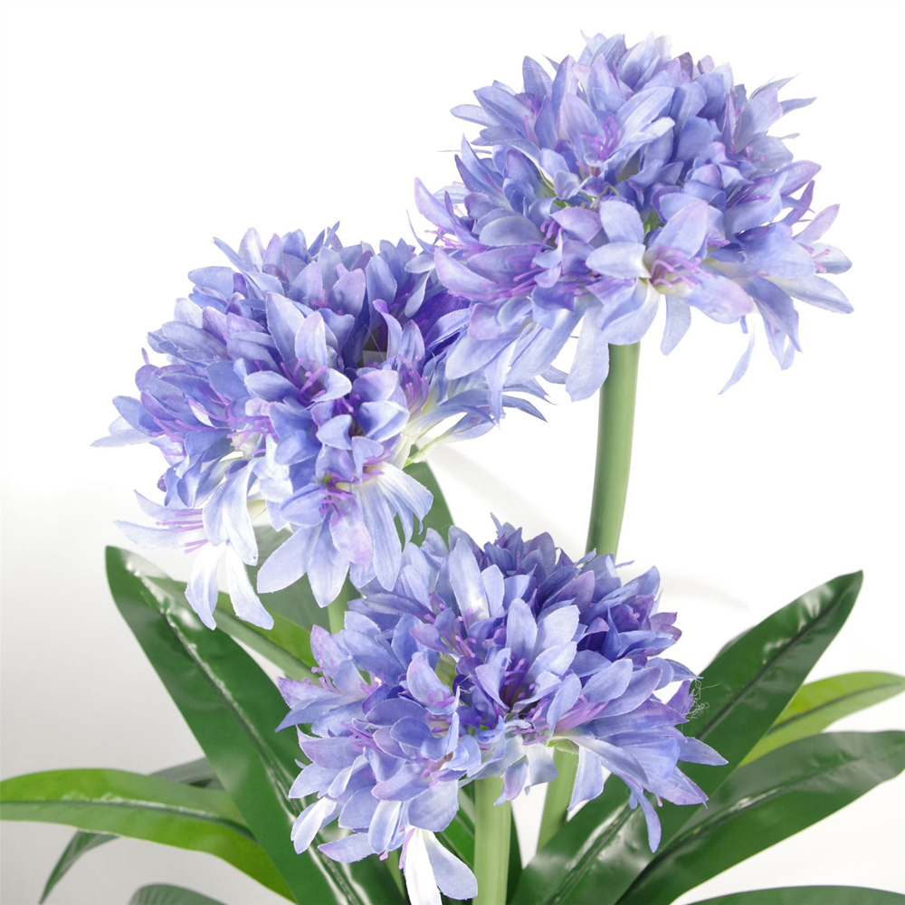 Botanik Blue Agapanthus Artificial Plant in Pot 3ft Image 2