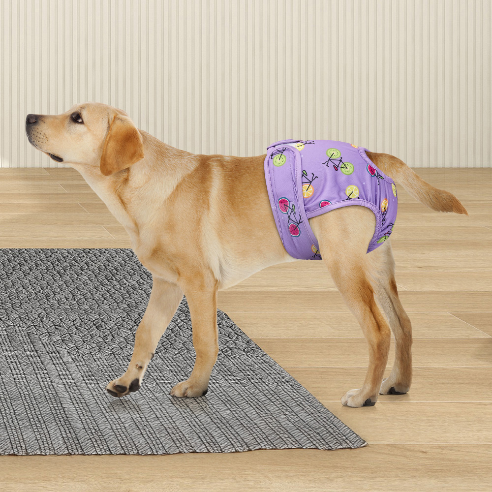 H&O Direct Dog Washable Diaper 3 Pack Image 2