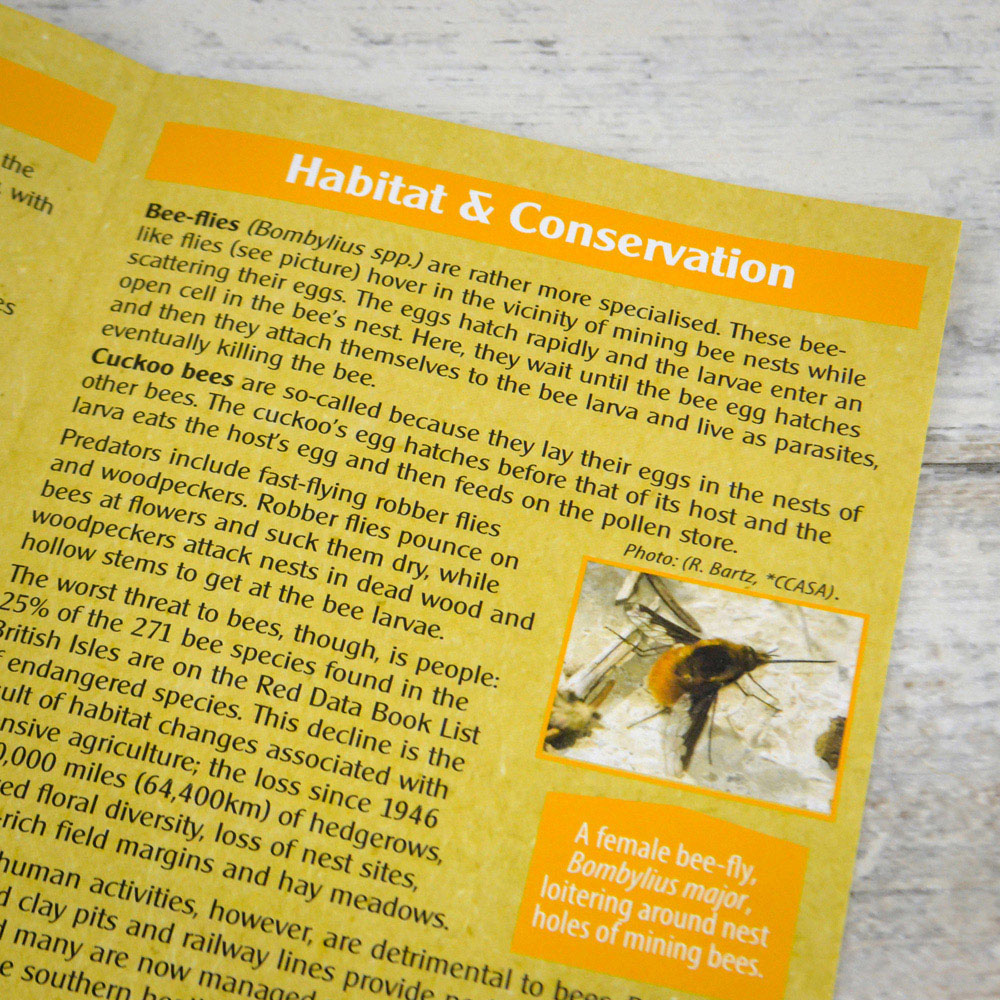 Wildlife World For The Love Of Bees Gift Set Image 5