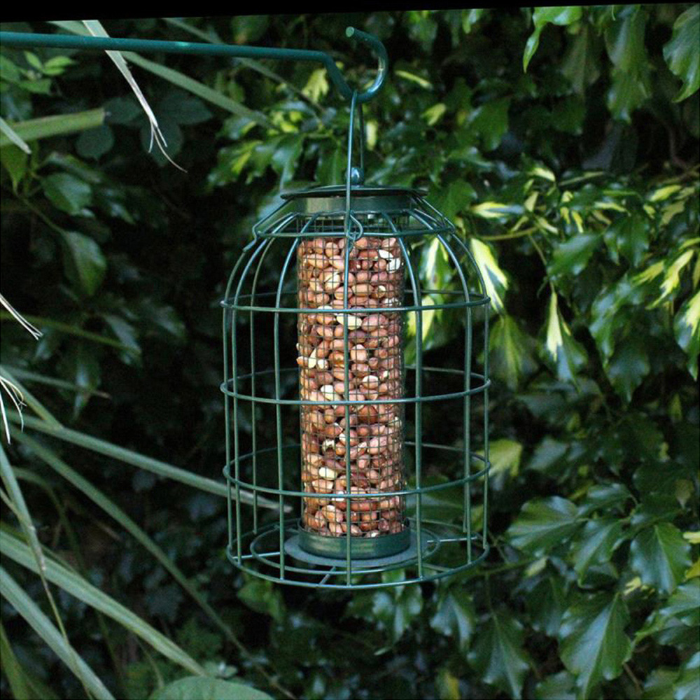 Natures Market Wild Bird Nut Feeder with Squirrel Guard Image 2