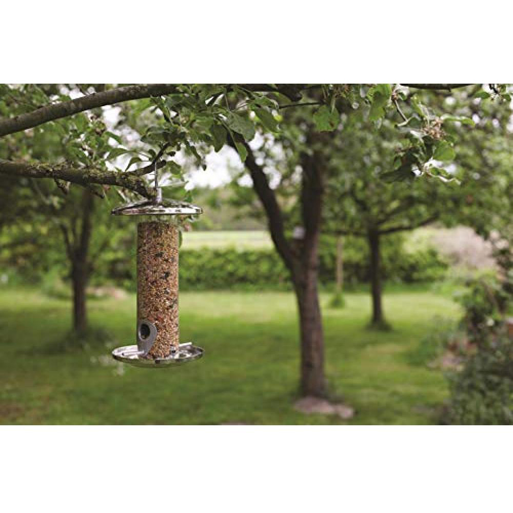 Fallen Fruits Stainless Steel Bird Seed Feeder Image 2