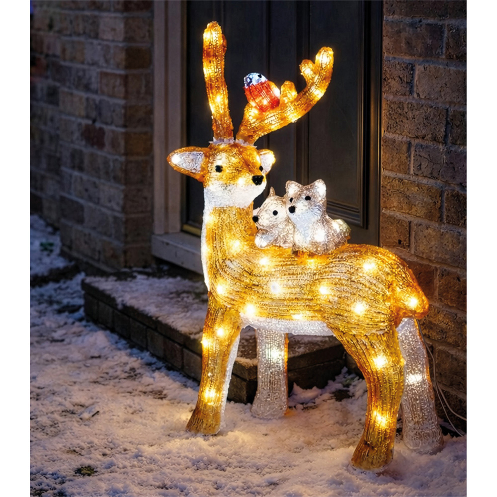 Xmas Haus 80 Bright White LED Acrylic Deer with Bird and Squirrel Christmas Decoration 60cm Image 2