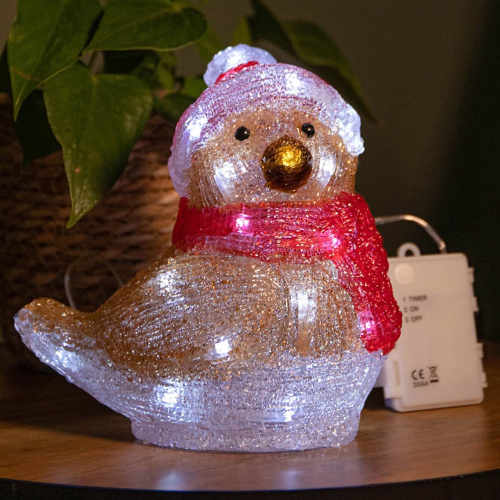 Samuel Alexander Acrylic Robin LED Christmas Decoration 19cm Image 1