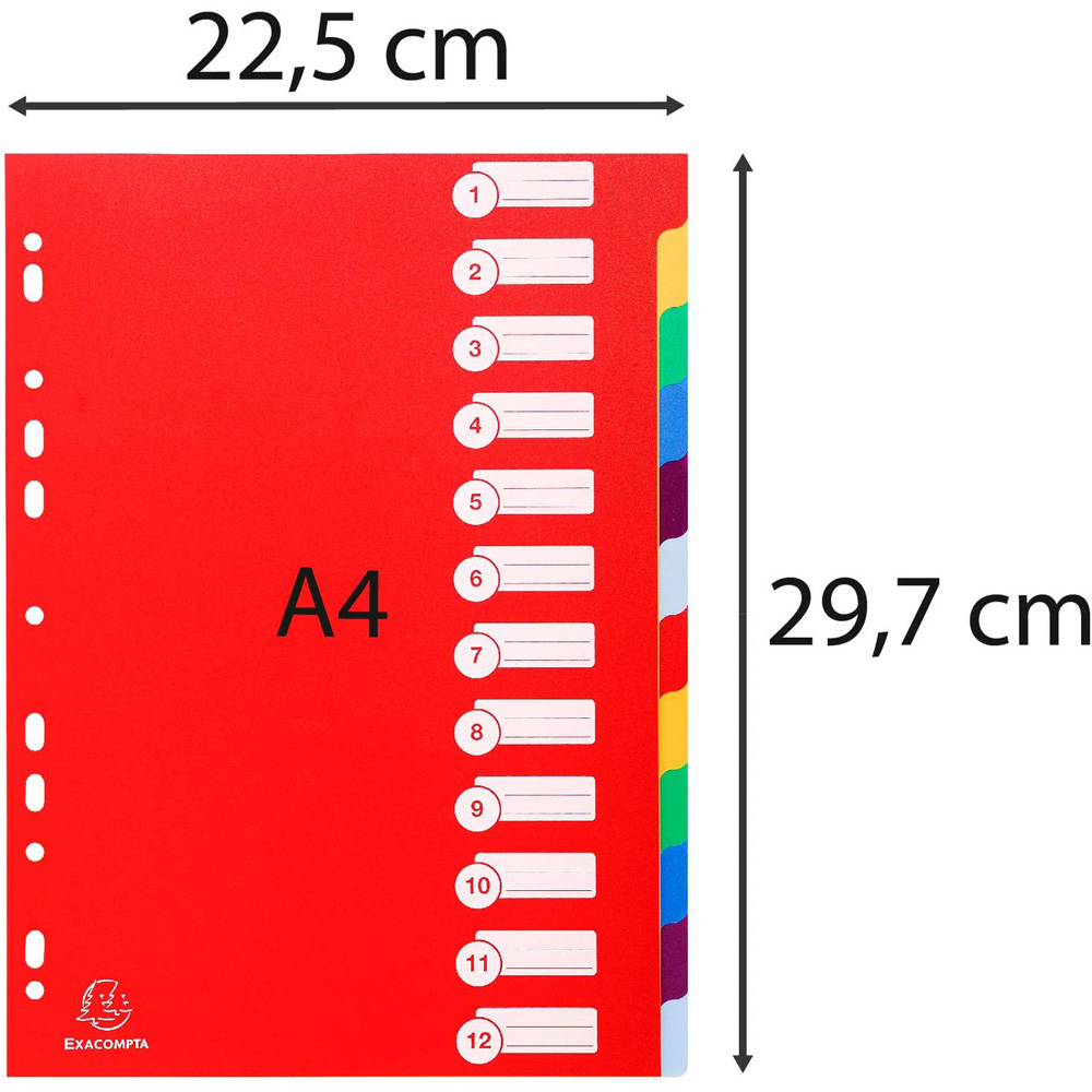 Exacompta A4 12 Section Assorted Colour Polypropylene Divider 15 Pack Image 6