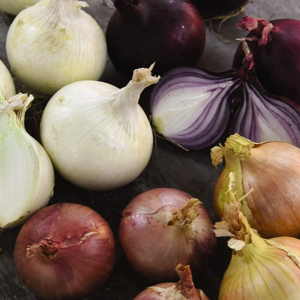 Thompson & Morgan Onion 4 Multicolour Mixed 200 Seeds Packet Image