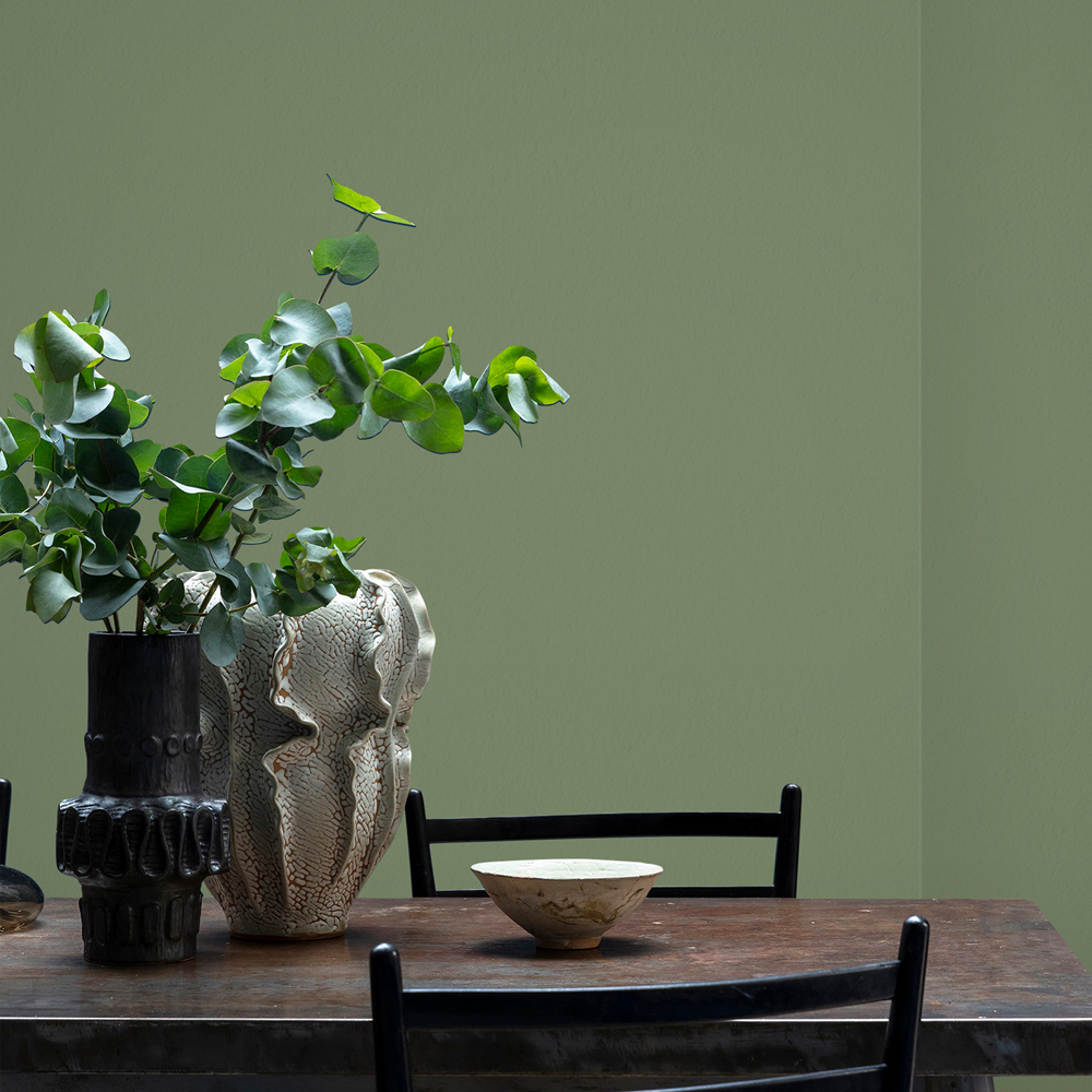 Craig & Rose Walls and Ceilings Deep Adam Green Chalky Emulsion Paint 5L Image 4