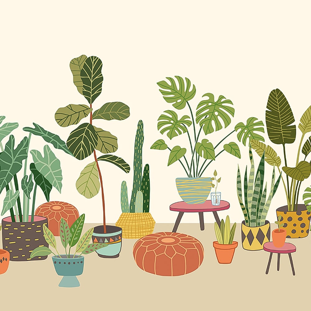 Origin Murals Houseplant Pots Multicolour Wall Mural Image 2