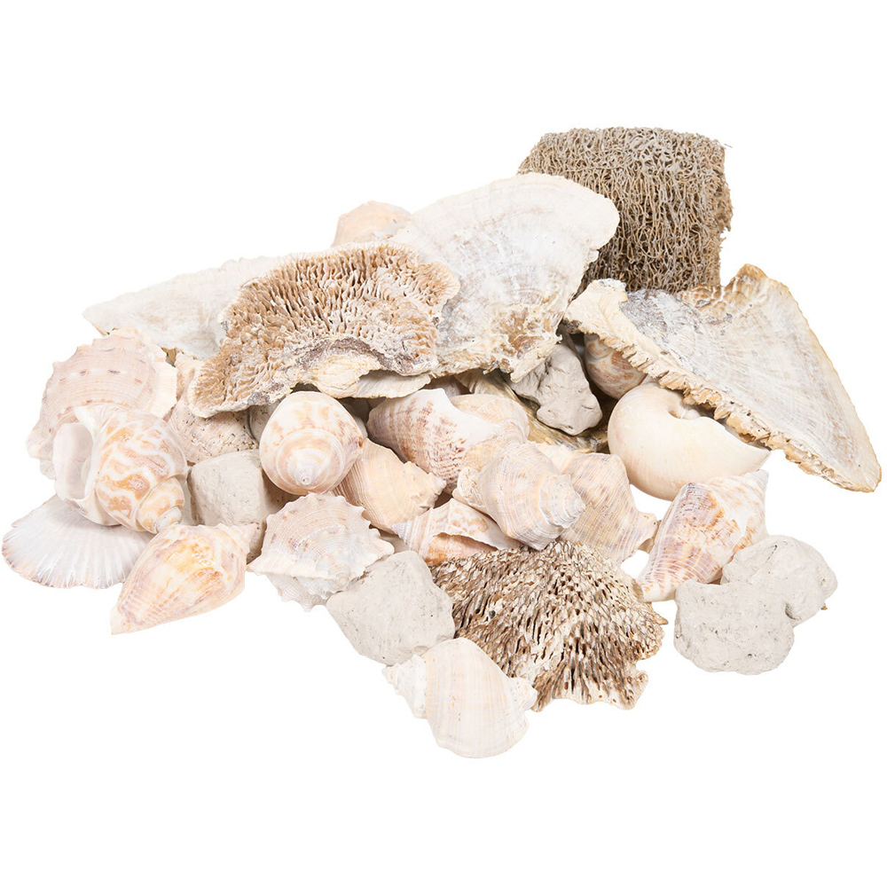 Decorative Shells in Net Bag Natural Image 3