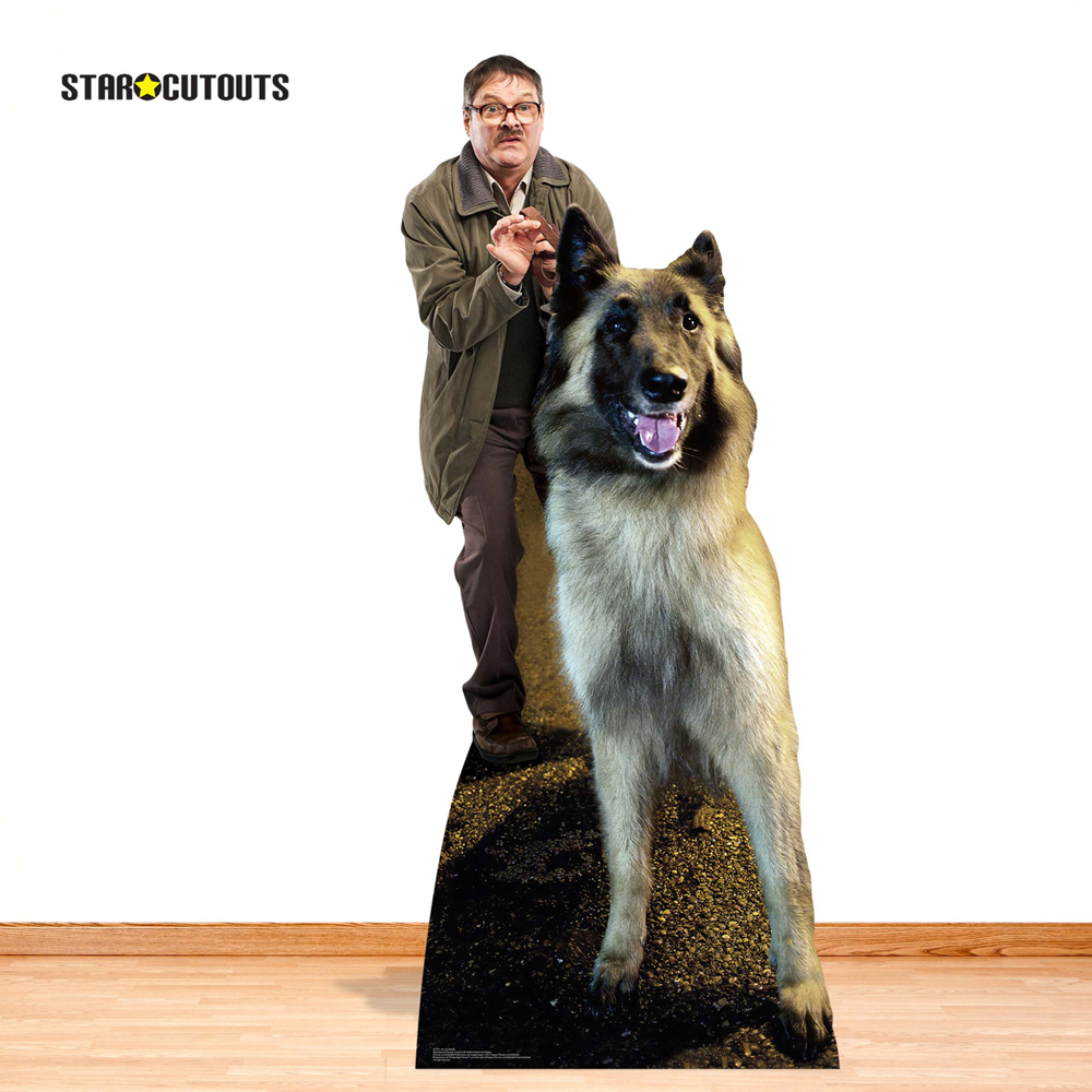 Star Cutouts Jim Mark Heap and Wilson Dog Good Boy Cardboard Cutout 6.4ft Image 2