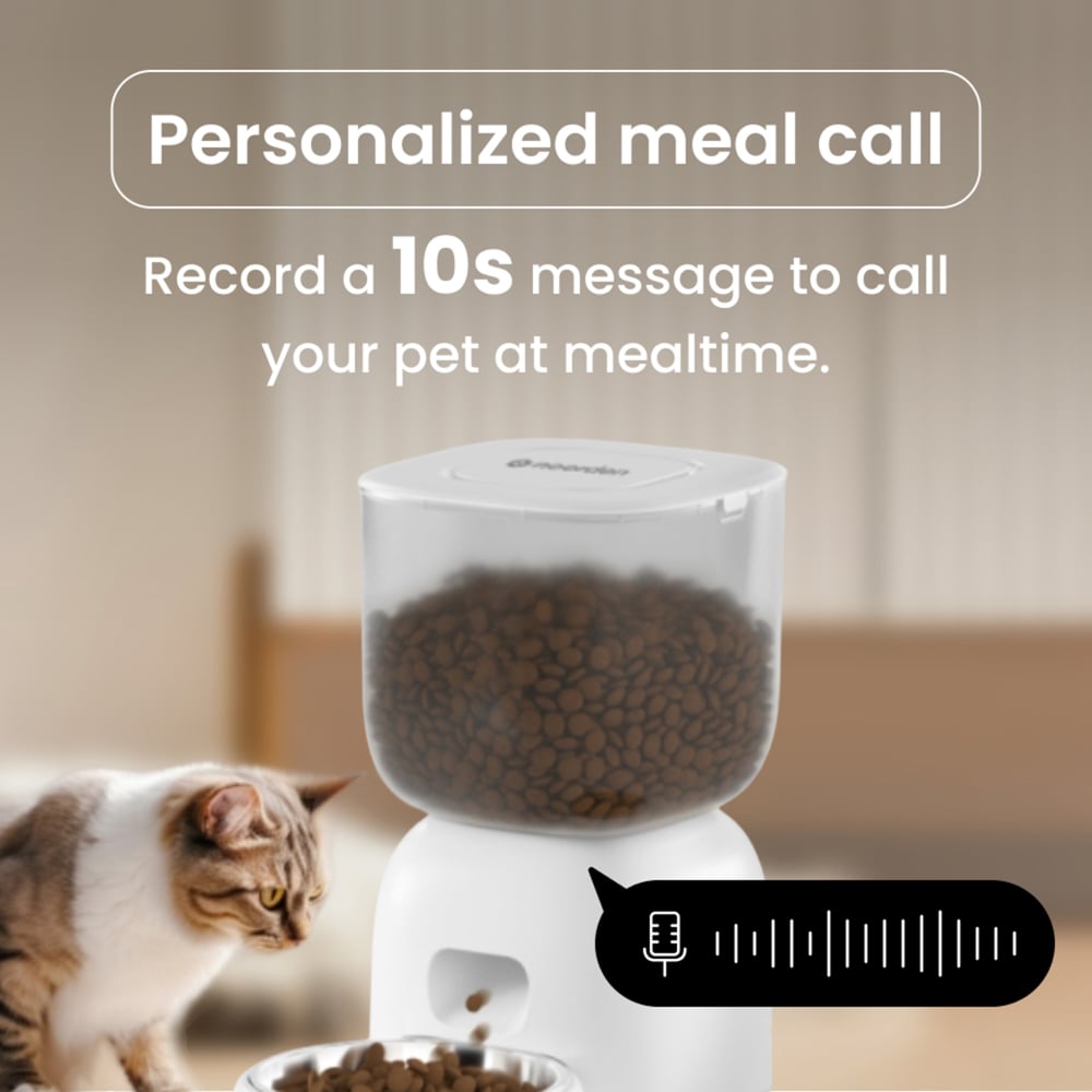 noerden Pet Plate Automatic Wi-Fi Pet Feeder Image 6